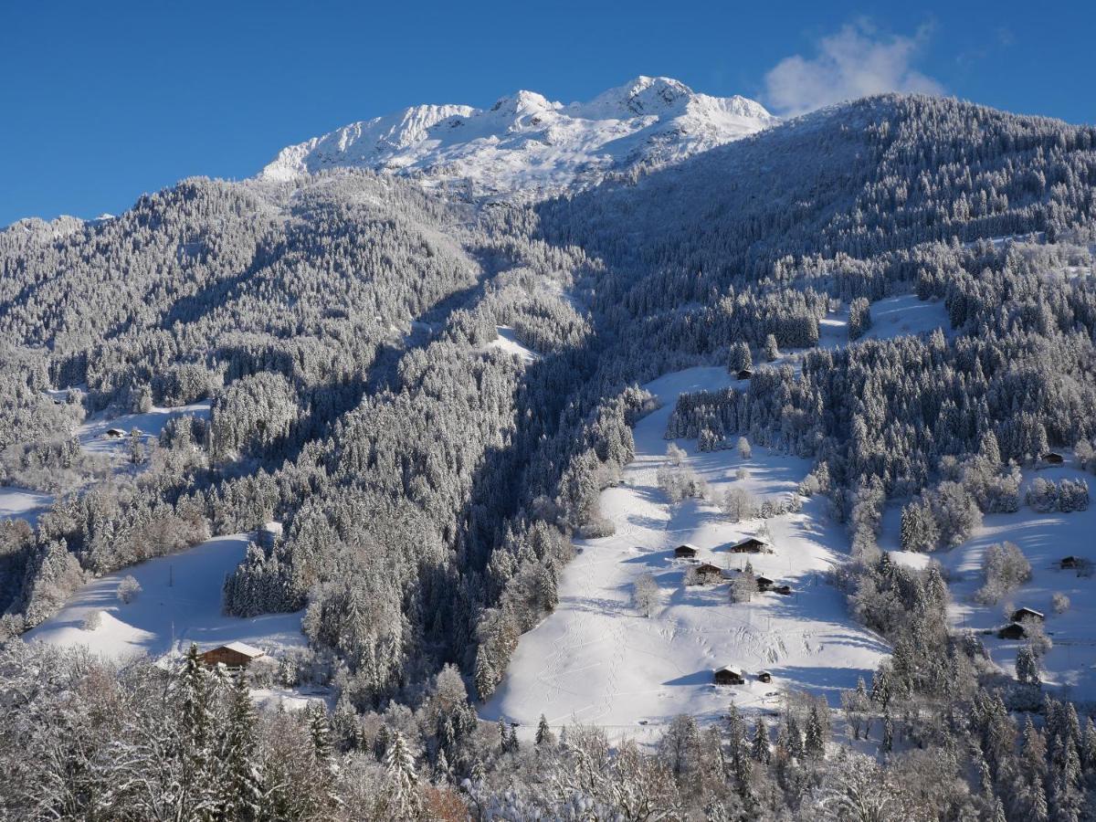 La Ferme D'Hauteluce - Chalets Luaran gambar